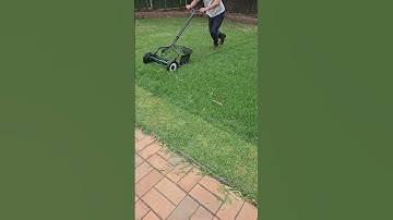 Manual push reel mower #gardening #reel mowing
