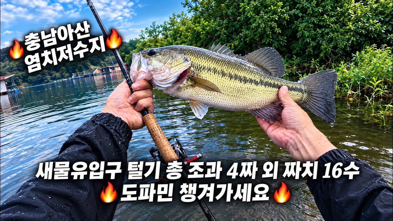 🔥 염치저수지 배스찾아 웨이더입고 발품팔기 🔥 | 염치지 새물류 입구 웨이딩 🎣