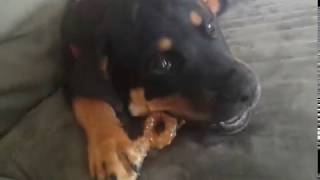 Max : When I'm gone MV