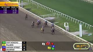 Paladin Wins The 2026 Risen Star Stakes - 2026 Derby Prep - Fairgrounds Racetrack - 2/14/26