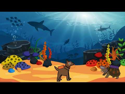 Finding the Sea Turtles- Tracy Adventures 1