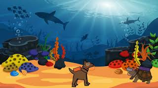 Celebrity Finding the Sea Turtles- Tracy Adventures 1 Profile