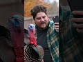 Look at the camera and smile! 📸 The turkey said, "No, thank you,"