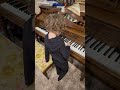 Piano with a gymnastics ending #declanthesupercat #canyounamethistune #christmascanon #outcold #fvp