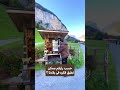 تفتكروا ممكن نطبق فكره في بلادنا كشك بدون بياع انت وامانتك سياحة سفر سويسرا Fypシ اكسبلور 