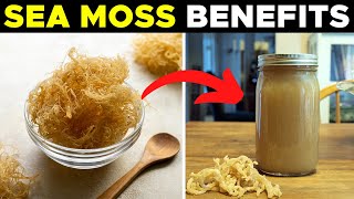 Irish Sea Moss Gel: Exploring the Dark Side and Amazing Health Benefits | Healthy Habits Hub