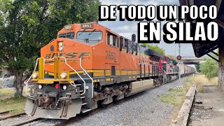 Los Mejores TRENES desde la Placa Kilométrica 380 hasta el 387