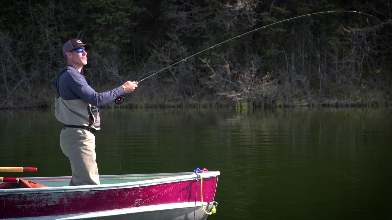 Sight fishing for Rainbow Trout at Meadow Lake Fish Camp