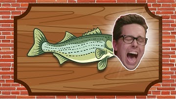 If I Filet Here (if I just filet here in NADDPOD