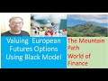 Valuing (European) Futures Option Using Black Model (FD 09)