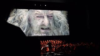 THE LORD OF THE RINGS: THE TWO TOWERS in CONCERT (w/FILMharmonic Orchestra) - KING THÉODEN