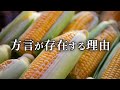 方言はなぜ存在するのか?トウモロコシで謎を解く。【言語地理学1】#311