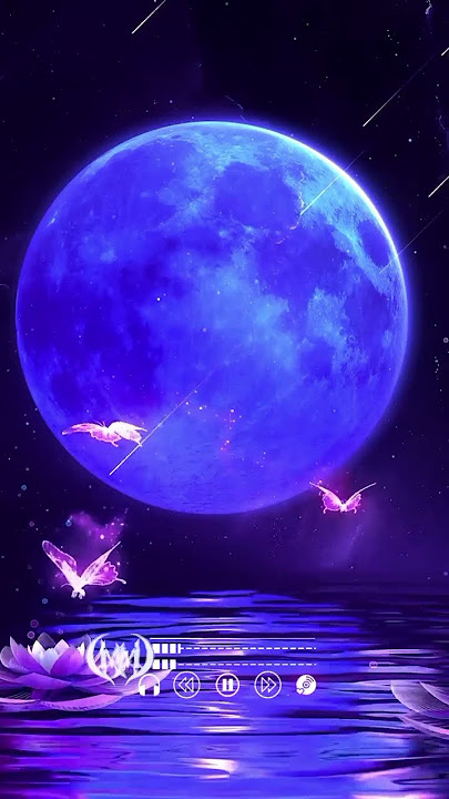 StoryWa - Lestari
