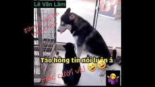 Thánh Lồng Tiếng | THẤY TAO LỚN MÀY ĂN HIẾP TAO À | Mắc cười vãi đái...