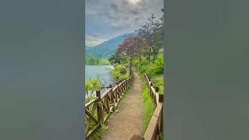 سورة غافر - الشيخ علي الصبحي رحمه الله - نسخة محسنة