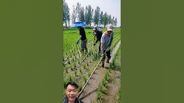 Dụng cụ làm cỏ hiệu quat #farming