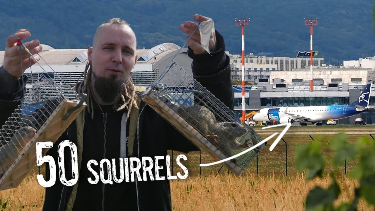We released 50 squirrels in airport - here's why