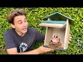 BABY OWLS GET A NEW HOME ! WILL THEY LIKE IT ?!
