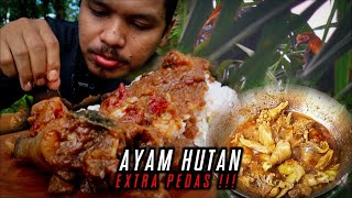 RASANYA JUARA‼️BERBURU AYAM HUTAN LANGSUNG DI MASAK DI LOKASI‼️AYAM HUTAN EXTRA PEDAS