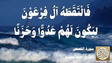 028 أحمد نعينع - سورة القصص