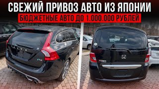 ОБЗОР СТОЯНКИ: свежий привоз из Японии. Бюджетные авто до 1.000.000 рублей