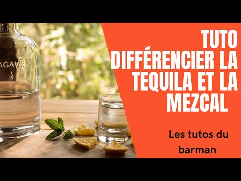 Vidéo: Tequila et Mezcal - Quelle est la différence ?