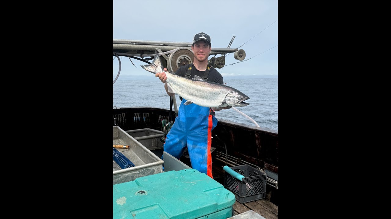 Salmon trolling #live #trending #fishing