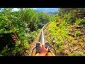 Only Single-Rail Mountain Coaster in United States | Rail Runner at Anakeesta &amp; Treetop Skywalk 2023