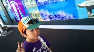 20100919新幹線全タイプ制覇2