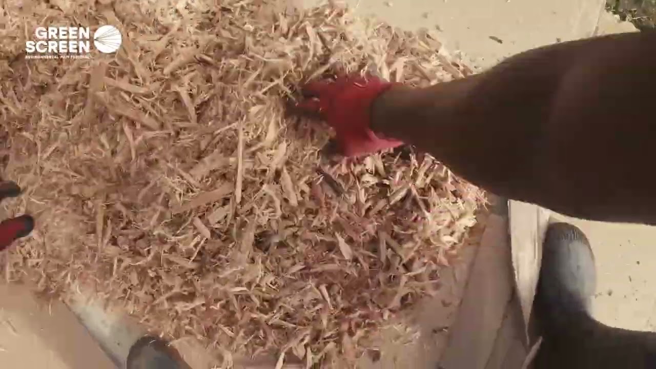 Grow Back the Future by Seon Thompson | GSEFF 2025