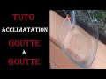 Tuto acclimatation goutte a goutte