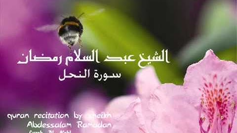 سورة النحل بصوت الشيخ عبدالسلام رمضان part 3/4
