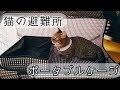 【猫と避難】ポータブルケージを購入しました【猫壱】
