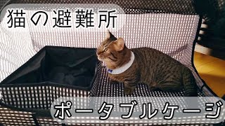 【猫と避難】ポータブルケージを購入しました【猫壱】