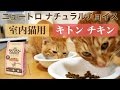 ニュートロ ナチュラルチョイス キトンチキンの餌を茶トラ猫の茶々とマロンに与えてみた。餌の準備中はマロンの鳴き声が聞こえます。 Nutro NATURAL CHOICE Kitten Chicken