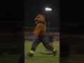 Bo the Beaver is a DAREDEVIL #firefighter #mascot #stunt #frontflip #baseball #fire #firestunt