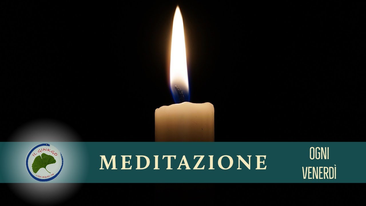 Meditazione al Ginkgo - 7 giugno 2024