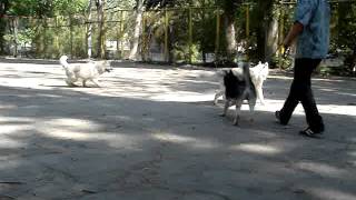 MOV07121