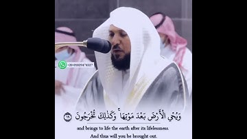 حالات واتس اب قرآن بصوت الشيخ ماهر المعيقلي_ فسبحان الله حين تمسون وحين تصبحون _ سورة الروم