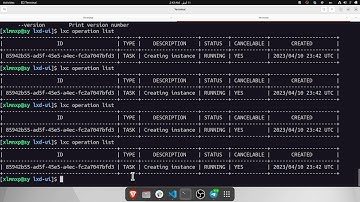 Test Early Development versions of LXD UI