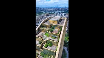 Dominate the Skyline of Digital Income WP CV Builder Explained