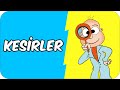 Kesirler | 2. Sınıf Matematik