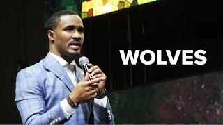 Focus | Dr. Matthew Stevenson | Wolves
