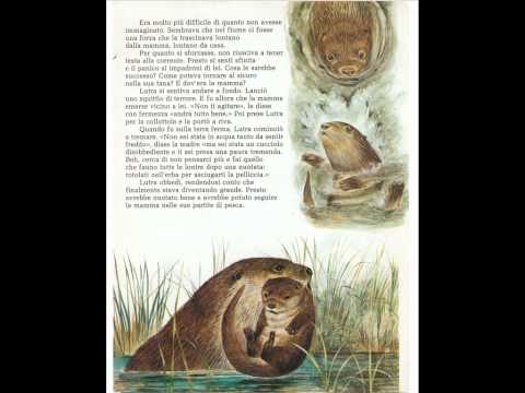 LUTRA LA LONTRA - I Raccontastorie n.20.wmv