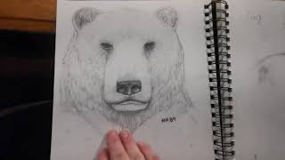 100 bears sketchbook walkthrough