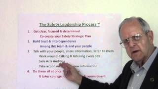 RN Knowles & Associates - The Safety Leadership Process