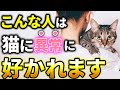 【猫好きな人ほど嫌われる!?】猫に異常に好かれる人の特徴７選！