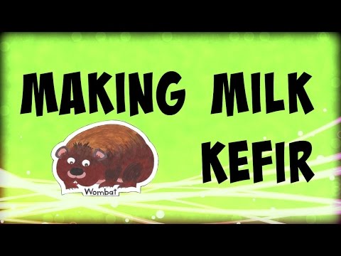 making-milk-kefir-quick-and-easy
