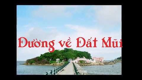 Đường về Đất Mũi Cà Mau