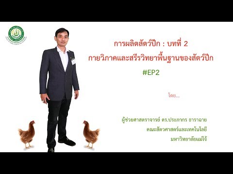 ระบบทางเดินอาหาร ระบบหายใจ ระบบสืบพันธุ์สัตว์ปีก | กายวิภาคและสรีรวิทยาพื้นฐานของสัตว์ปีก (Full) EP2